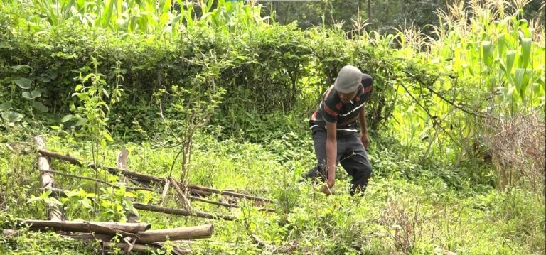Franklin Mironga inspects his mother's grave at their home in Nyagonyi, Marani Sub-County, Kisii on February 1, 2023