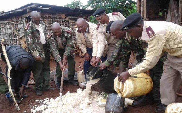 Illicit Brew