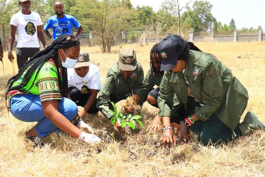 Madam Evelyn Kimathi, Dedan Kimathi Foundation C.E.O planting a tree
