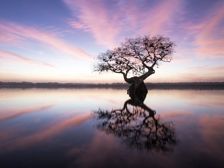 Nature Is Supreme