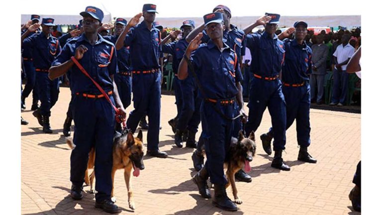 Private Security Industry