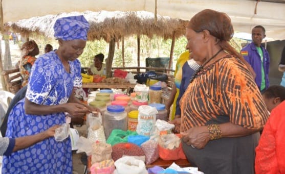 A farmer buying indigenous seeds from an exhibitor during the Seed Savers Network (SSN) seed fair in Gilgil in Nakuru County.