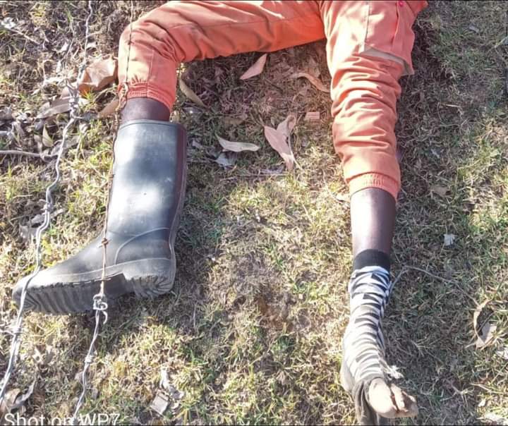 Man Dies As He ‘Hugs’ A Transformer