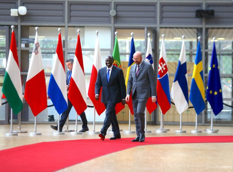 The President of the European Council reaffirmed the bloc's support for an African Union seat at the G20