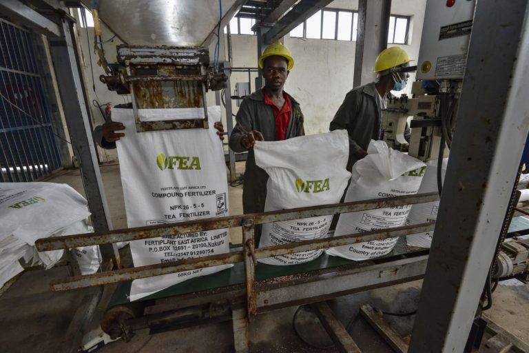 Workers at the Fertiplant factory in Nakuru.