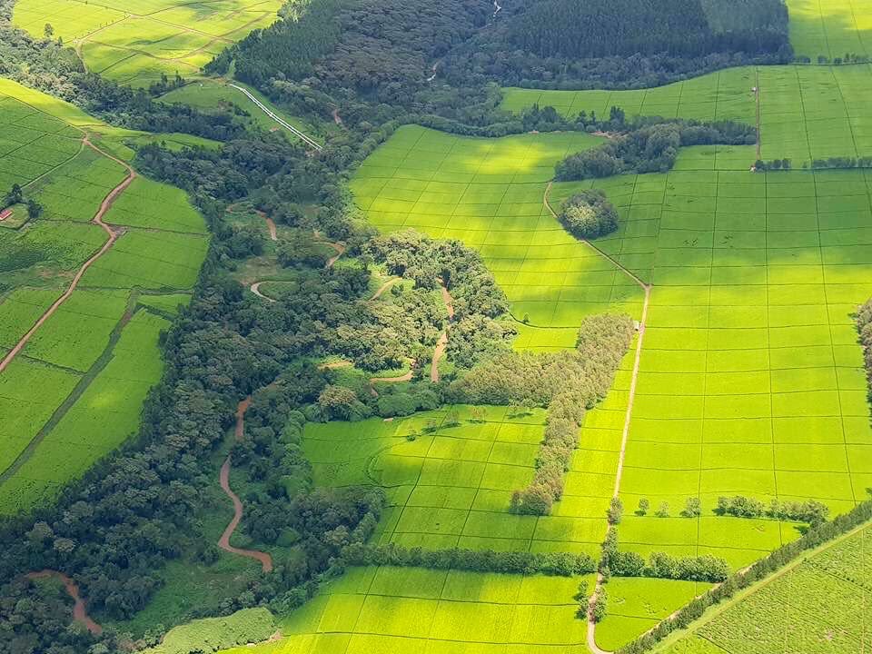 Land