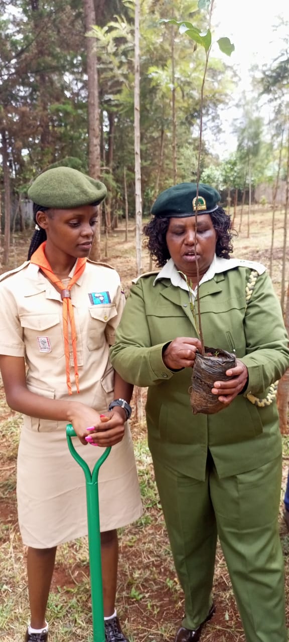 Ms Esther Mugo, the Central Regional Deputy Chief Conservator of Forest explains how to plant a tree seedling to Charlotte Mugendi