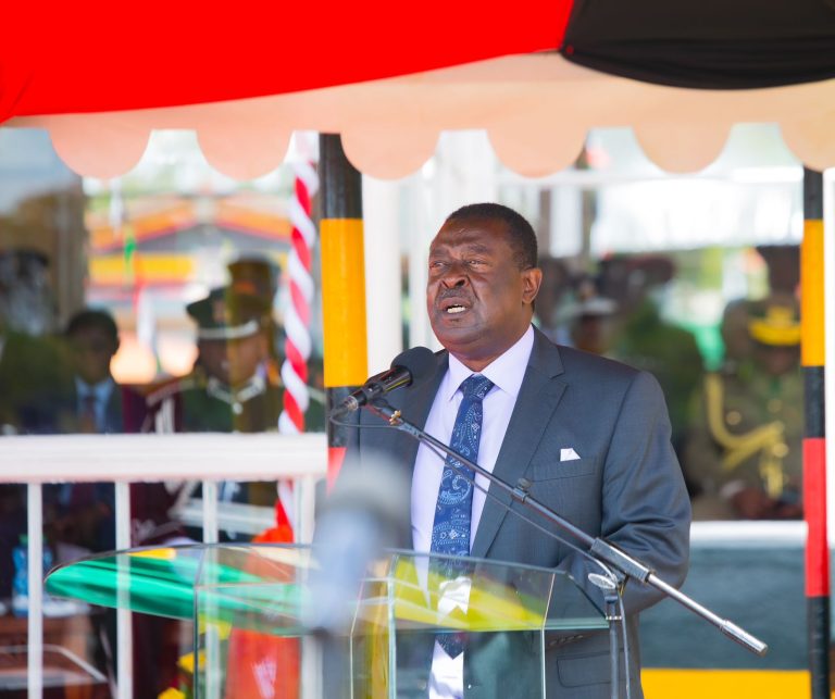 Prime Cabinet Secretary Musalia Mudavadi