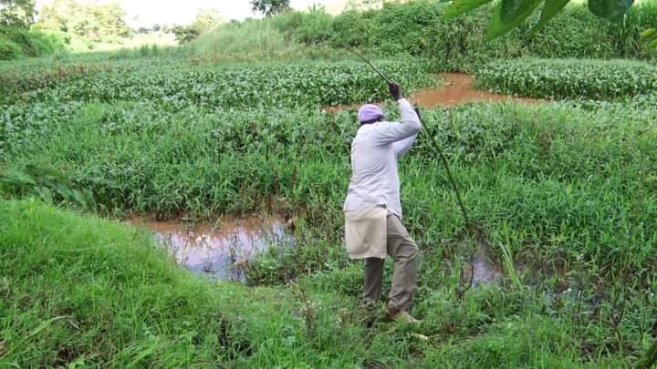 Restoration Of Thika River Ecosystem On Course