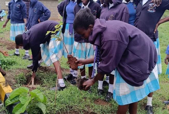 Students planting trees