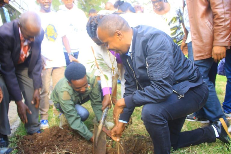 Dagoretti South M.P John Kiarie planting a tree