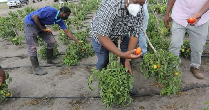 Nakuru To Tap Into Satellite Technology To Map Location Data
