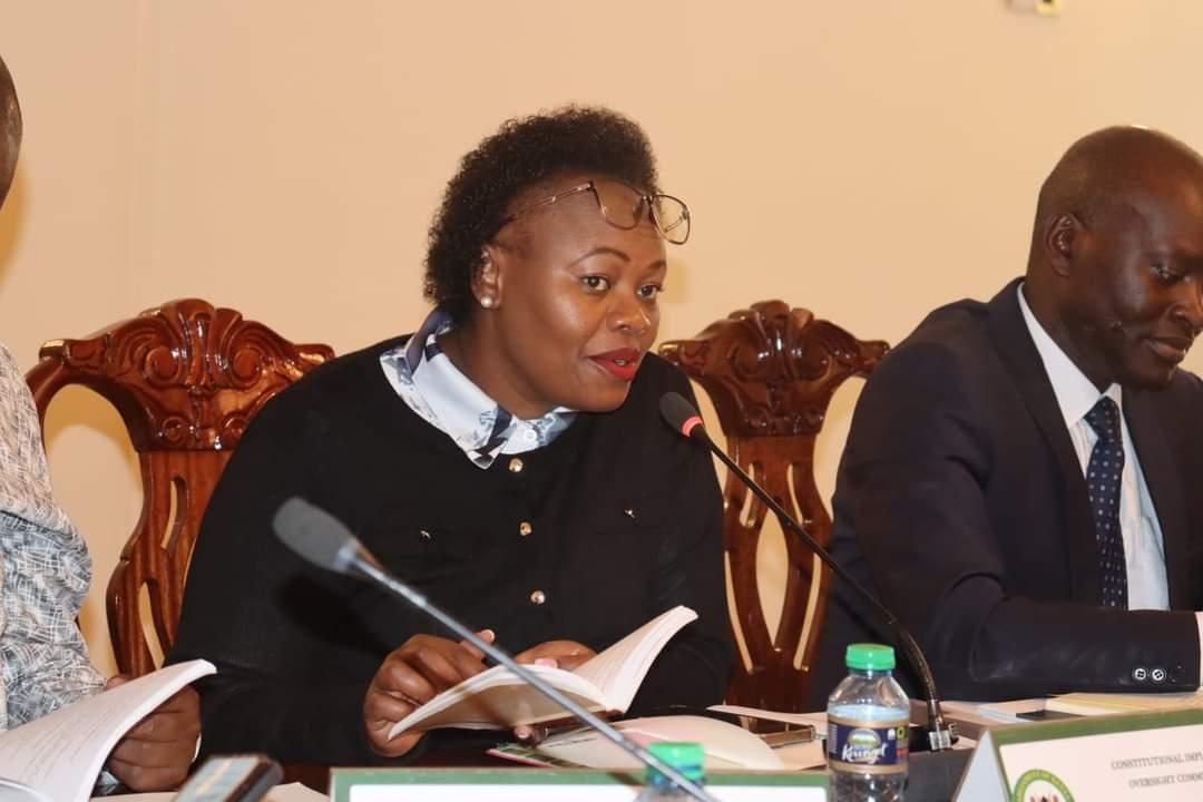 The Committee Chair, Gathoni Wamuchomba