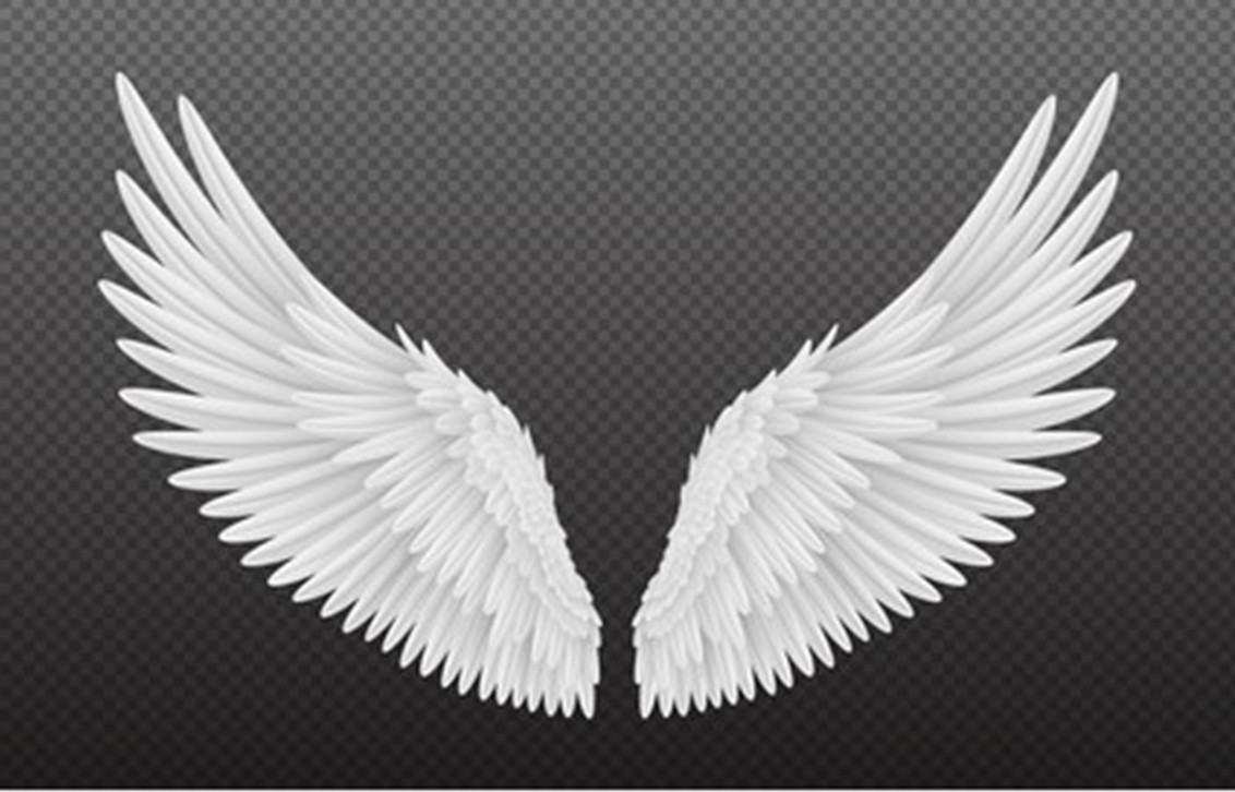 Wings