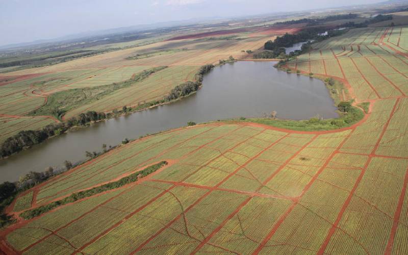 Delmonte land.