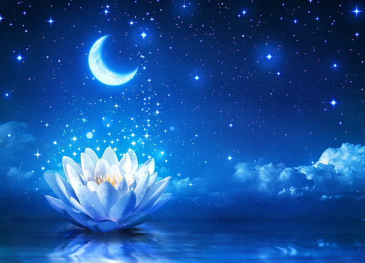 Flowers And Stars