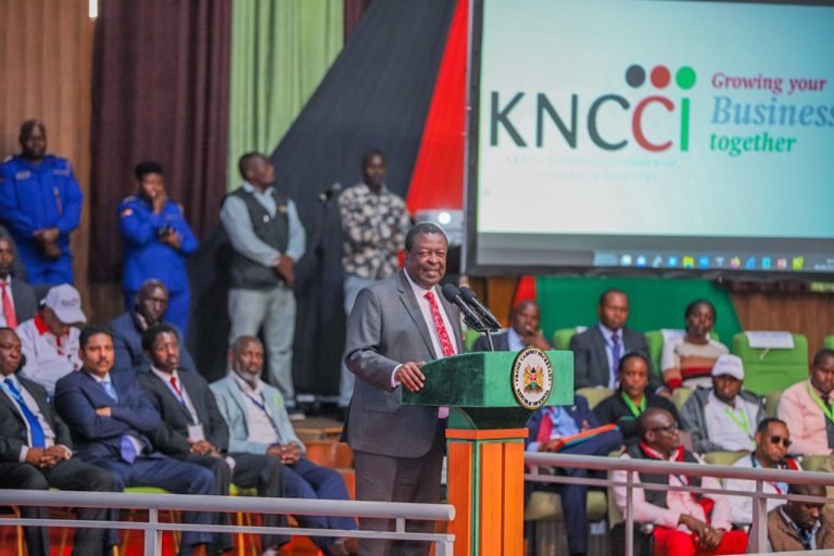 Prime Cabinet Secretary Musalia Mudavadi