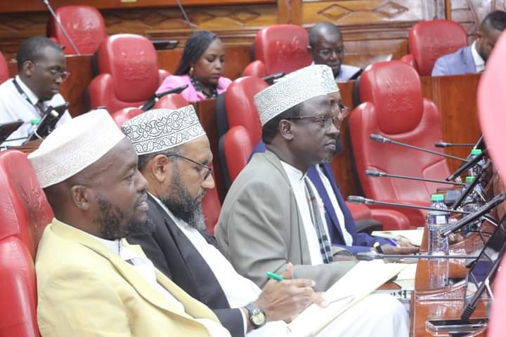 Some of Muslim leaders who appeared before the Senate Committee