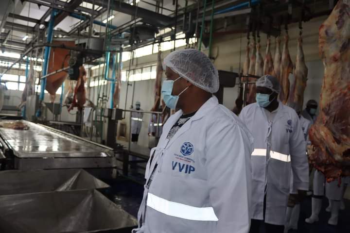 Some of the MPs at the KMC facility in Kibarani, Mombasa