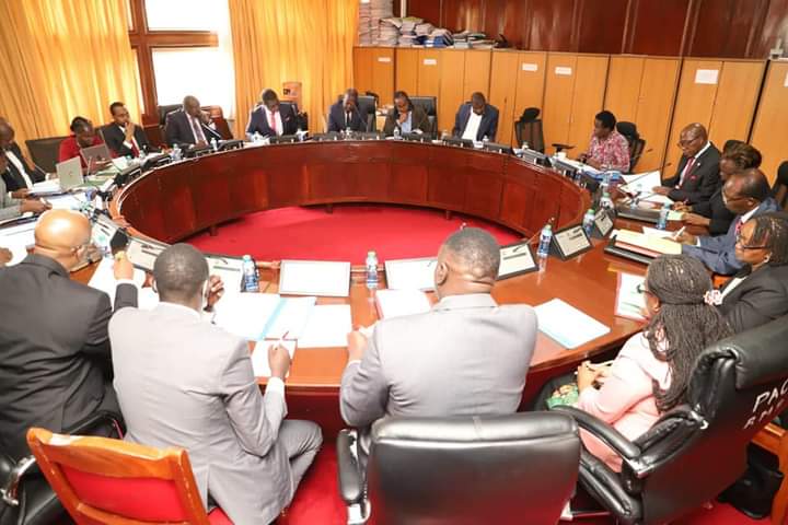 The National Assembly Public Investments Committee on Commercial Affairs and Energy