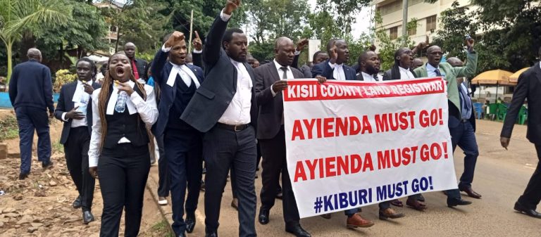 Lawyers holding peaceful demonstration against land registrar Ayienda