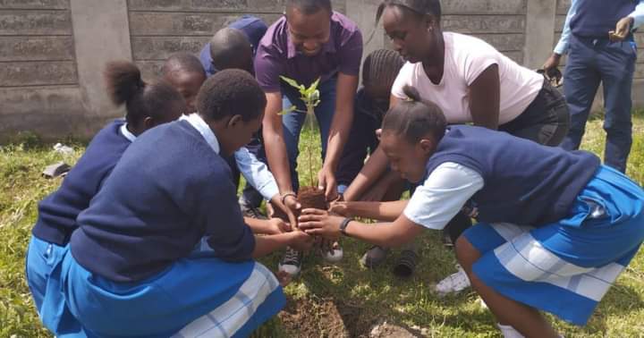 Nakuru City Planner Macharia Thangw'a assisting students plant trees