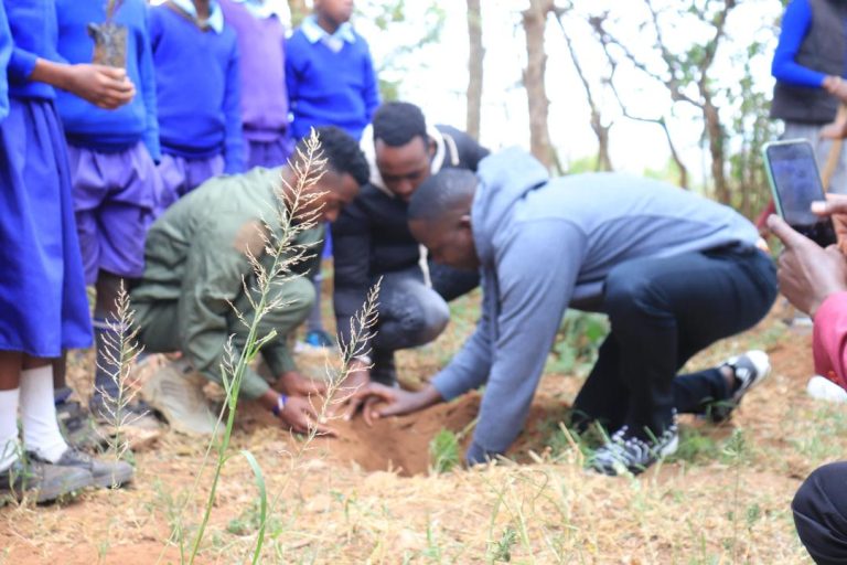 Planting trees