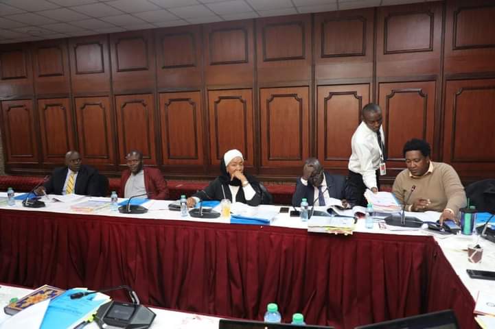 The Senate Committee during the session