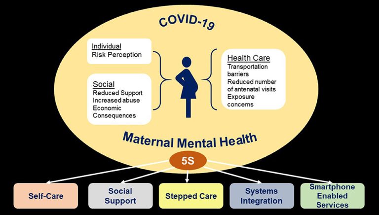 Women's Digital Platform Enhancing Mental Health Wellness,
