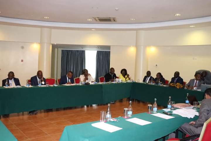 Committee members during the session