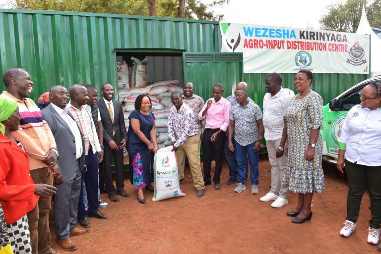 Kirinyaga County governor Ann Waiguru distributing fertiliser