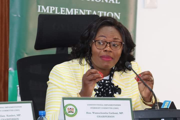 Parliamentary Committee chairperson Gathoni WaMuchomba