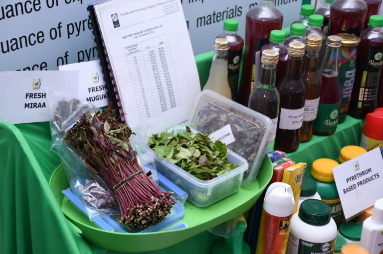 Some of the photos on the 2nd day of Trans Nzoia County Agricultural Show ASK