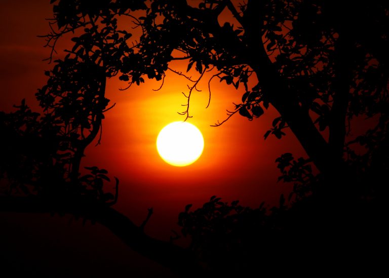 Sun Goes Down