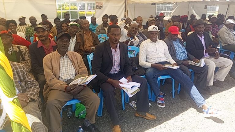 A section of tea farmers affiliated to Iria-ini Tea Factory in Othaya, Nyeri County during yesterday’s AGM.