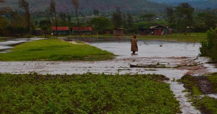 At least 50 families in the Twarama area of Tigania west of Sub County have been left homeless after their houses were submerged due to heavy rains.