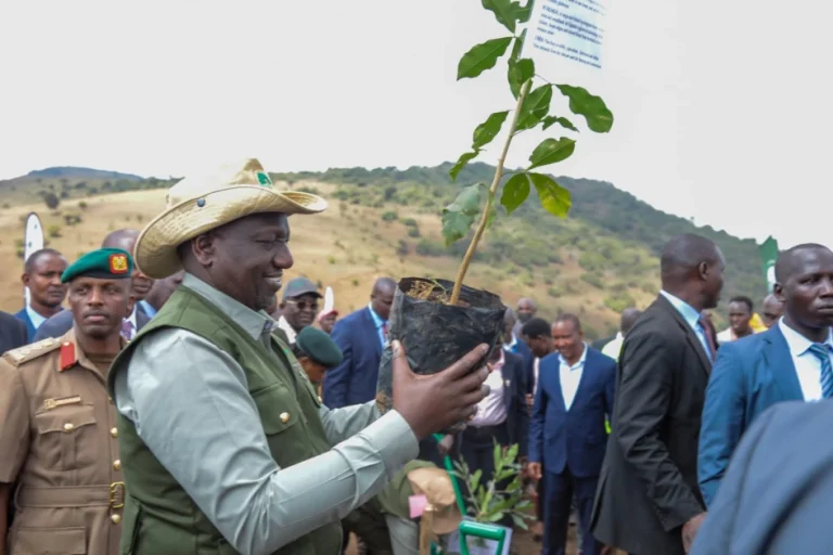 President William Ruto planting tree in past