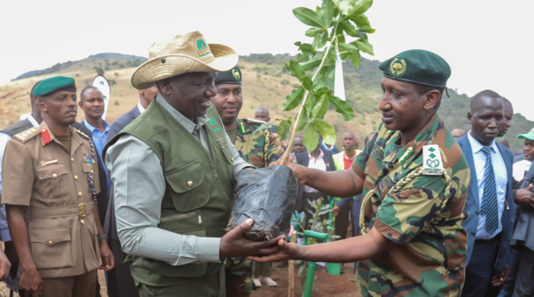 President William Ruto’s Tree Planting Drive