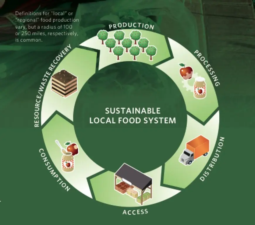Sustainable Food Systems