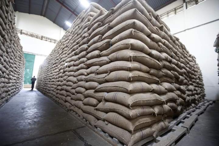 The National Cereals and Produce Board (NCPB) is urging farmers and other interested parties to utilise their facilities for grain post-harvest needs.