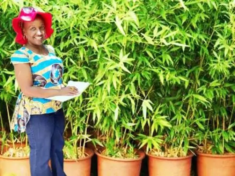 Juliet Mwangi, director at GhalaDelights