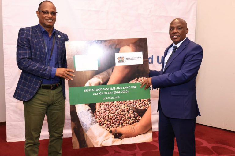 To Address Food Insecurity, Kenya Must Reform Food Systems and Land Use