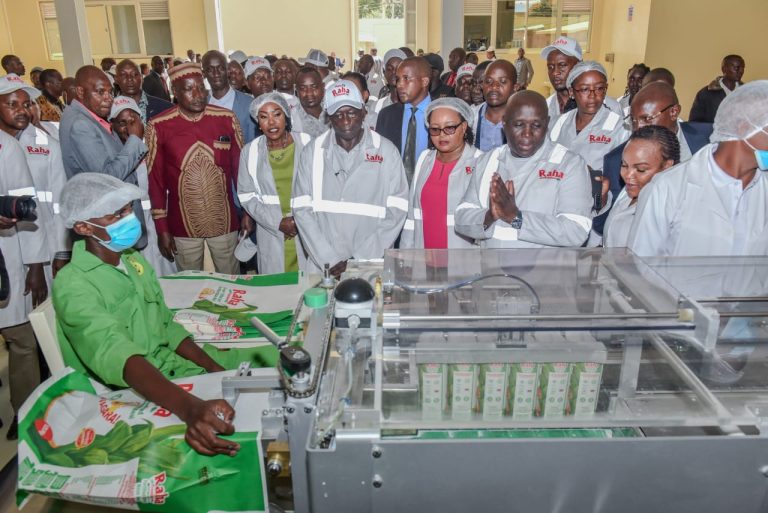 Deputy President Rigathi Gachagua and other leaders being taken through Joy Millers plant yesterday.