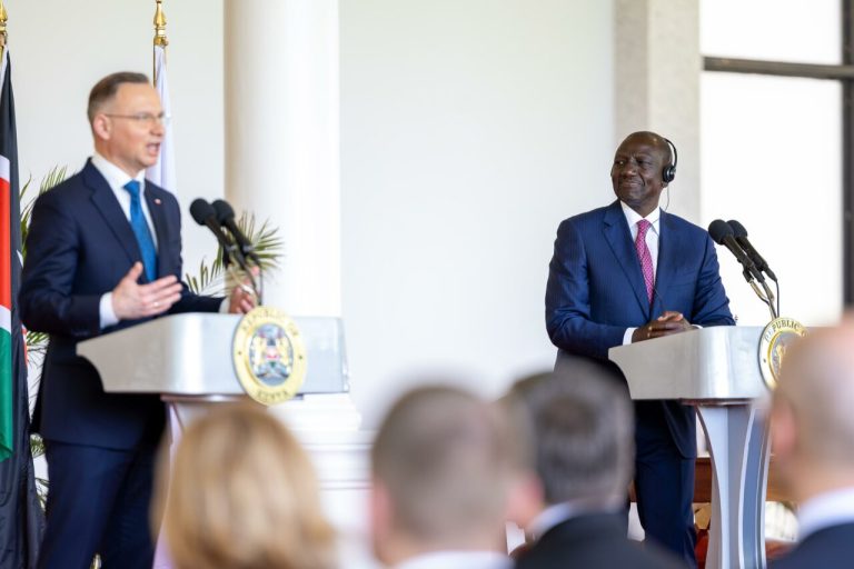 President William Ruto with Polish President Andrzej Duda