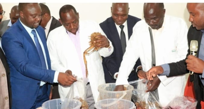 County, KNCCI, To Empower Youth Through Mushroom Farming