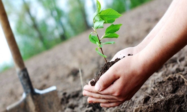Labour Rights And Environmental Rights
