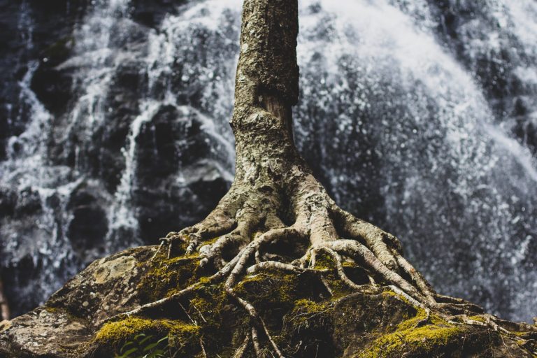 RETURN TO SPIRITUAL ROOTS