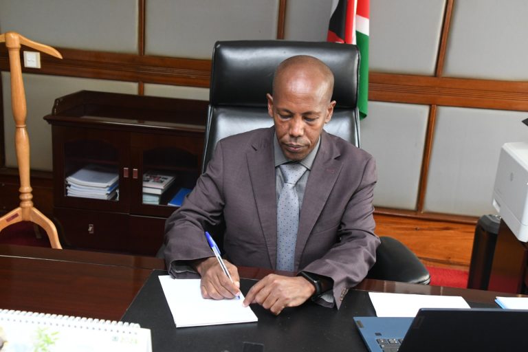 Chief Executive Officer at the Kenya School of Government Prof. Nura Mohamed,