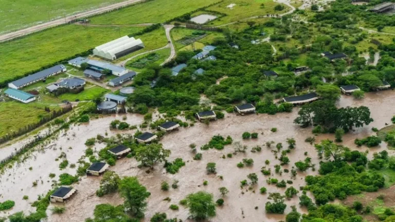 The Talek River burst its banks, flooding the game reserve