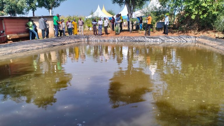A fish pond in a farm in Igambang’ombe ward in Tharaka Nithi County